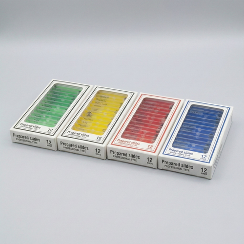 Starter Discovery Slide Pack