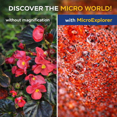 WonderQuest™ MicroExplorer