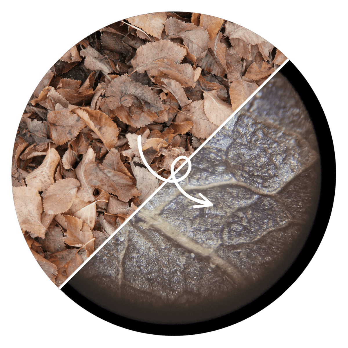 Benefits illustration