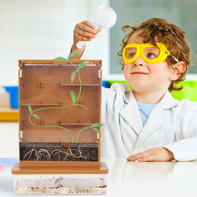 WonderQuest™ Grow A Maze!