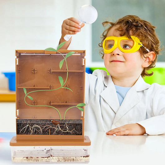 WonderQuest™ Grow A Maze!