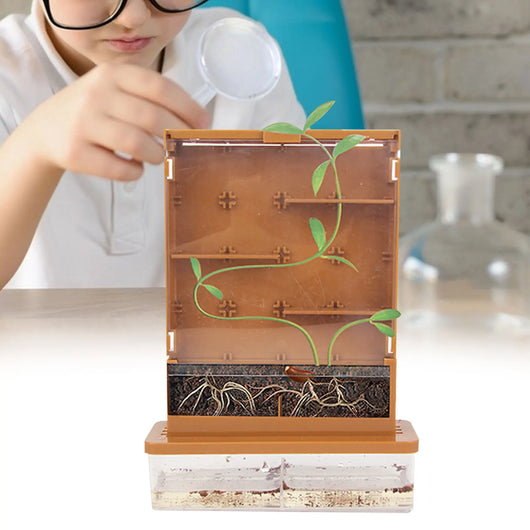 WonderQuest™ Grow A Maze!