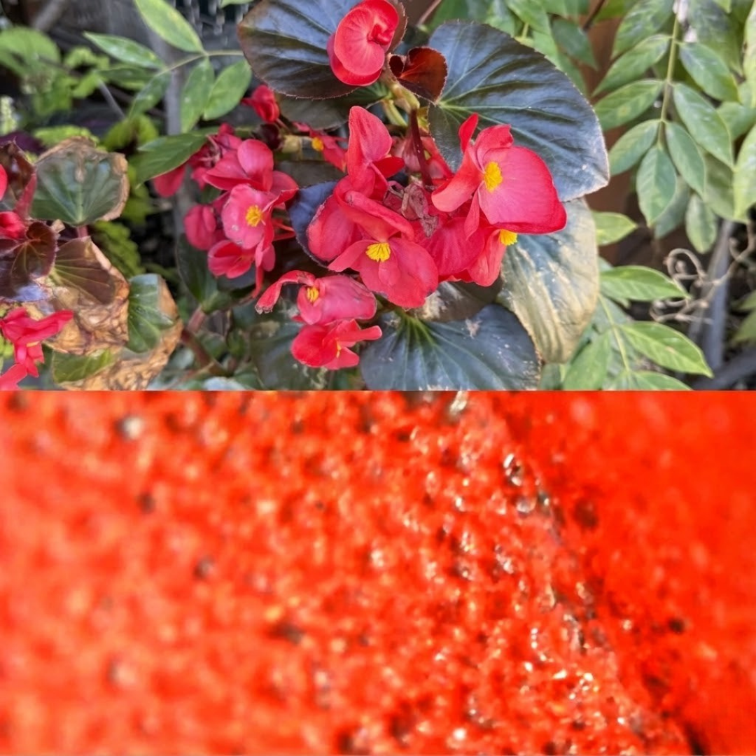 Benefits illustration