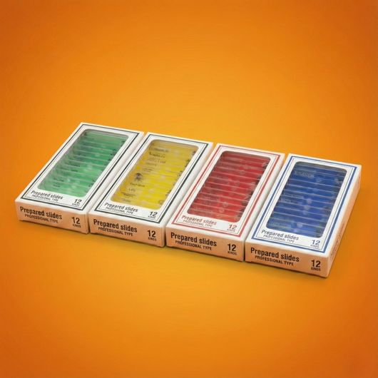 Limited Discovery Slide Pack Bundle