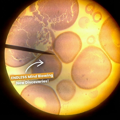 WonderQuest™ Miniscope